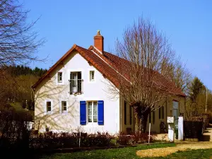 La Parisienne des Amognes