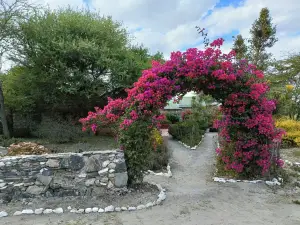 Masai Eco Lodge