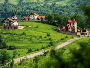 Alpine Castle Hotel