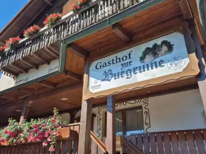 Gasthof Zur Burgruine