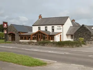 The Harp at Letterston