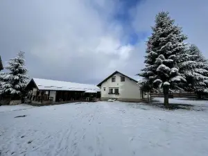Pensiunea Vis Alpin Belis