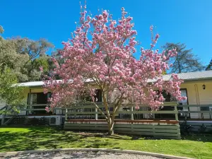 Golden Heritage Apartments Beechworth