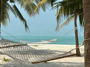 Sea Shells Beach Resort