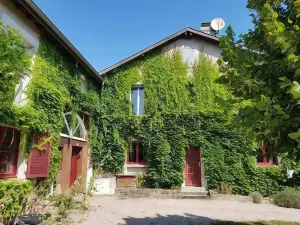Le Clos Darwin - Chambres d'hôtes