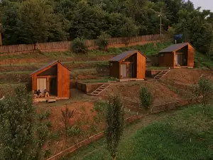 Skijis Sakhli