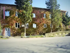 Hotel Lilo Near Airport