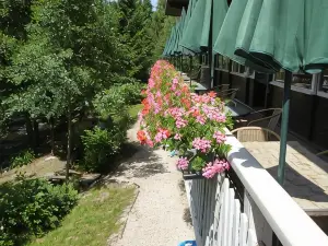 Chalet du Montal
