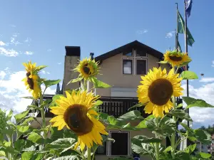 Hotel Olimpic