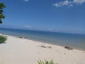 Los Versos de Zaira
