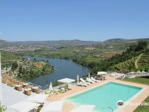 Delfim Douro Hotel
