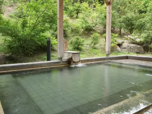 Hotel Towadaso