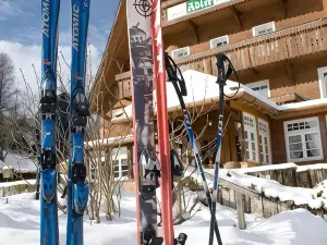 Hotel Adler Bärental