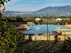 Tenuta Del Perugino