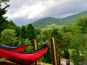Hot Tub, Rustic Elegance, in and Outside Fireplaces, Private, 10 Miles to Avl.