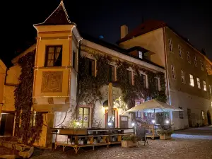 Hotel Bila Pani