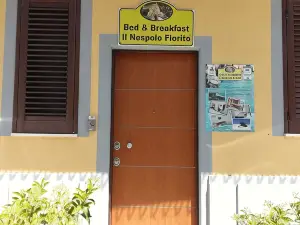 Domo - Guest-House Il Nespolo Fiorito