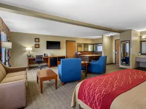 Comfort Inn Near Gila National Forest