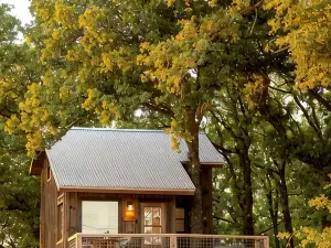 Texan Tree House for an Outdoor Adventure near Magnolia