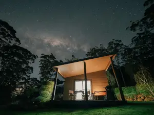 The Floating Forest
