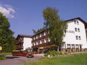 Hotel Igel Gbr