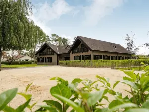 't Wilgenhuys