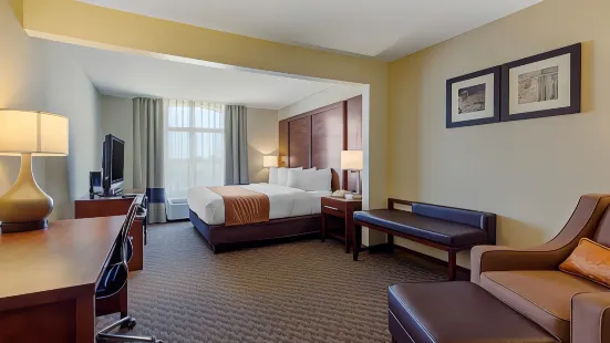 Comfort Inn & Suites SW Houston Sugarland