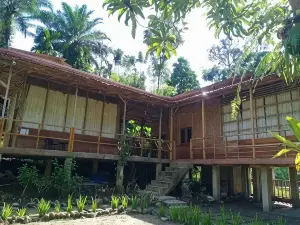 Bua Guest House Tangkahan