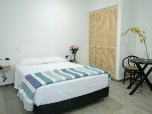 50N15 B&B