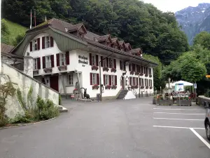 Historic Hotel Steinbock