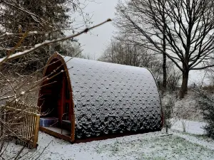 PODs Alte Schule
