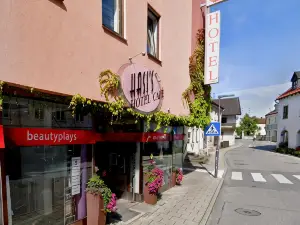 Hasi's Hotel