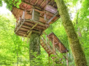 L'Arbre à Cabane