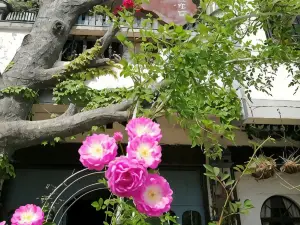 Taining Flower House B&B