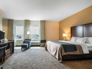 Comfort Inn Apalachin / Binghamton W Route 17