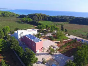 Masseria Mongiò Dell'Elefante