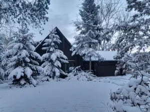Secluded chalet in the woods overlooking a huge pond only 5 minutes to town.