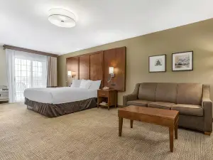 Comfort Suites Red Bluff Near I-5