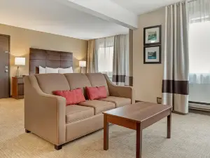 Comfort Inn