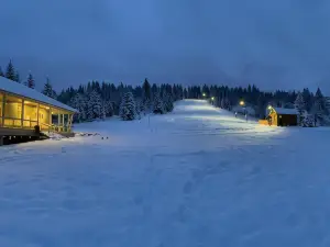 Mountain-Rest Pension
