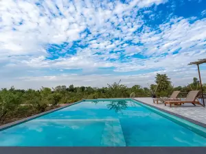 Kurja Jawai
