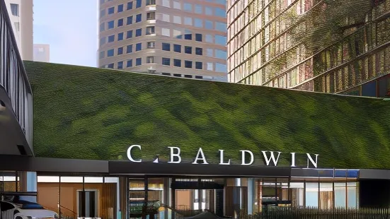 C. Baldwin, Curio Collection by Hilton