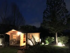 黑熊葡萄酒屋及酒店