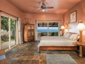 Spectacular Ocean View, Peace, Beauty, And Relaxation two to five guests