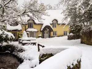 The Royal Oak Exmoor