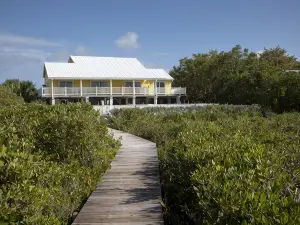 Direct Ocean View! 5 Bed/3 Bath with room for everyone. Large pool and Dock!