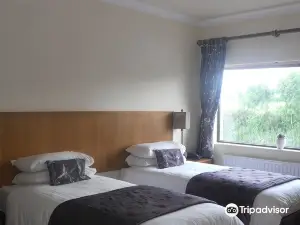 B&B the Silver Eel