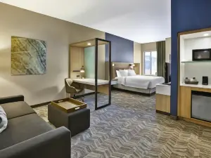 匹茲堡巴特勒中城SpringHill Suites酒店
