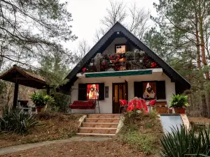 Ladybird Lodge