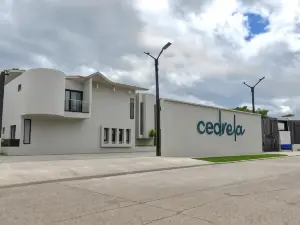 セドレラ